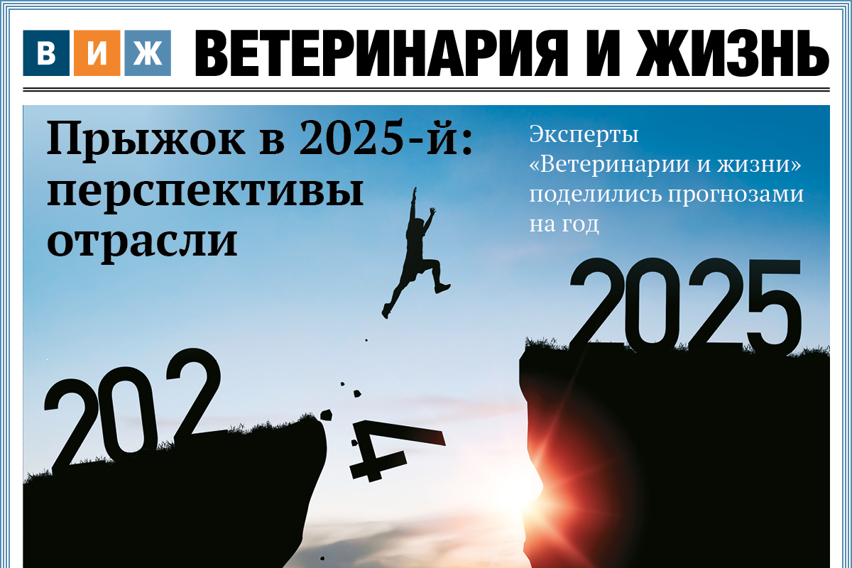 Новый выпуск «ВиЖ»: уловки школьной столовки, овца-артистка и псевдофермеры