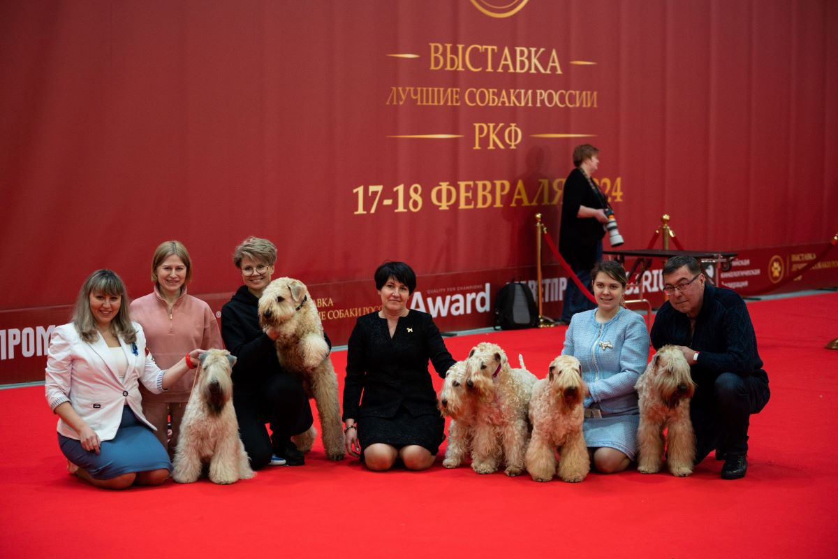 «Лучшие собаки России» выходят на ринги регионов: шоу чемпионов стартует в Петербурге