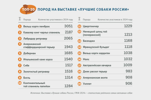 Топ-20 популярных пород составили по итогам выставки «Лучшие собаки России»