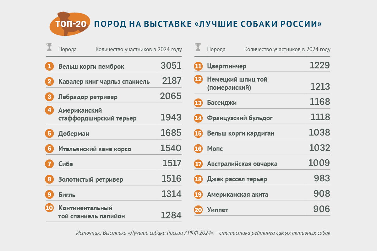 Топ-20 популярных пород составили по итогам выставки «Лучшие собаки России»