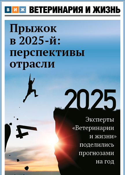 Номер 1–2 (92–93) январь–февраль 2025