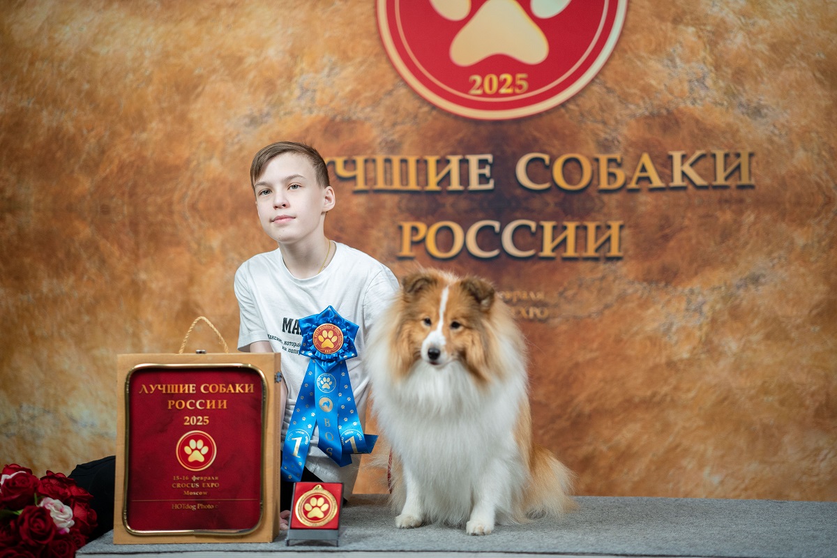 Лучших собак выбирают в России — фоторепортаж