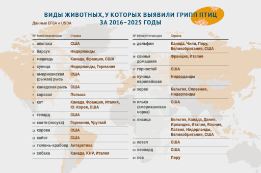Виды животных, у которых выявили грипп птиц