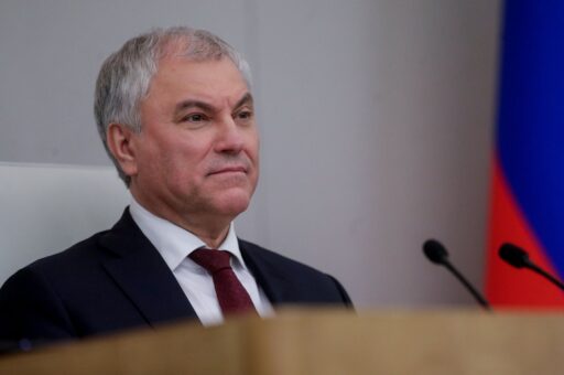 Володин: люди просят защитить их от животных, диких, которые остались без хозяина