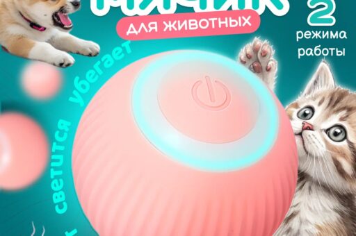 Россияне потратили 140 млн рублей на интерактивные игрушки для питомцев