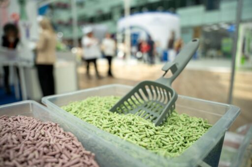 Импорт кормов для кошек и собак вырос на 12%