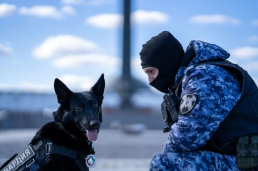 Выставка о животных на фронте и в тылу откроется в Петербурге
