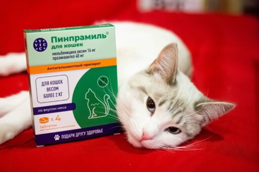 «Пинпрамиль»: защита, которой доверяют профессионалы