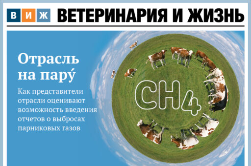 Новый выпуск «ВиЖ»: собаке — собачья жизнь, быки-гиганты и ветеринары блокадного Ленинграда