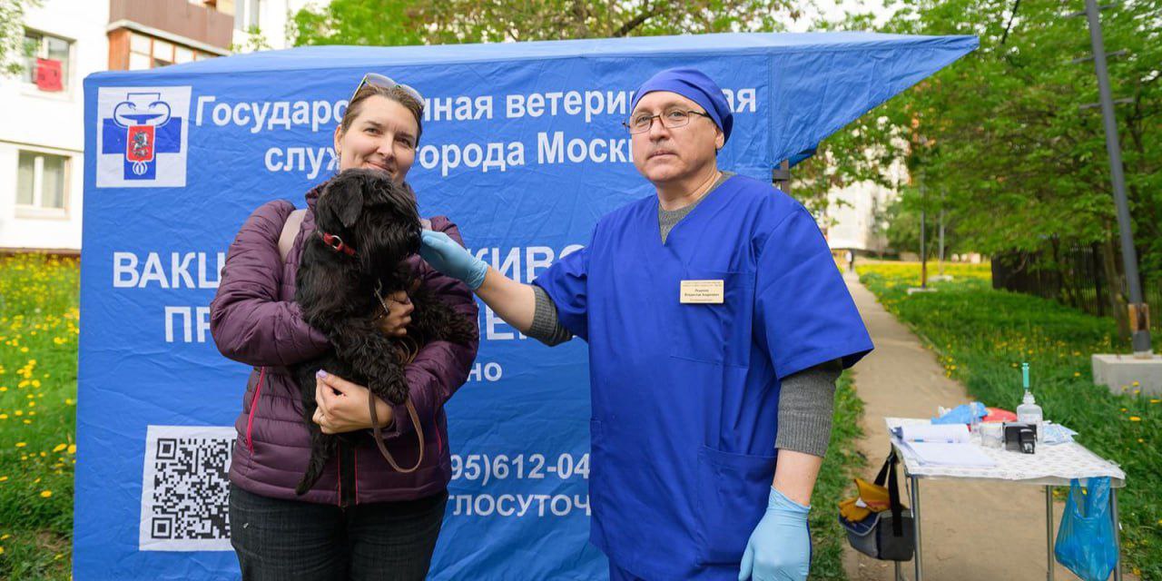 Пункты вакцинации начали работать в Москве рядом с выгульными площадками