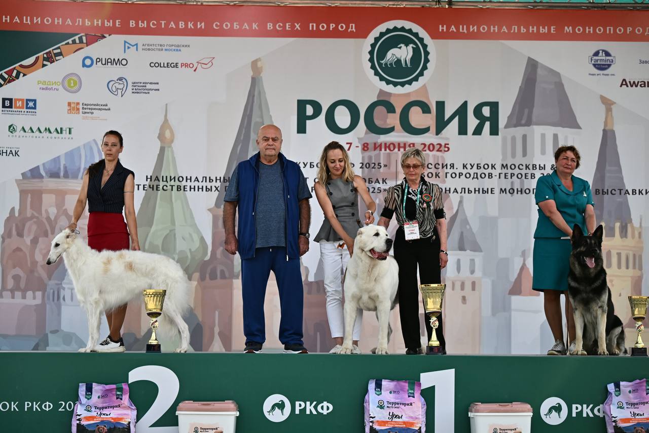 Победителя «Кубка РКФ — 2025» определили в Подмосковье