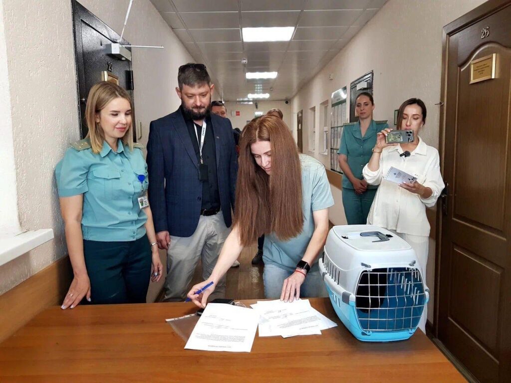 Новороссийские таможенники приютили турецкого кота Бурака