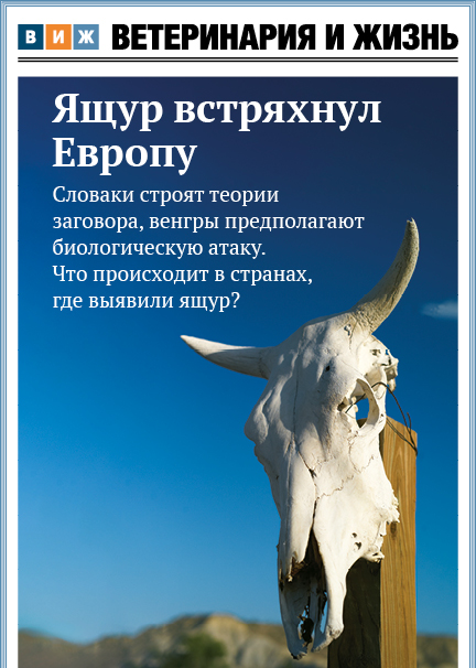 Номер 5 (96) апрель 2025