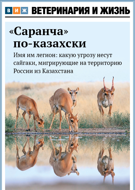 Номер 6 (97) июнь 2025