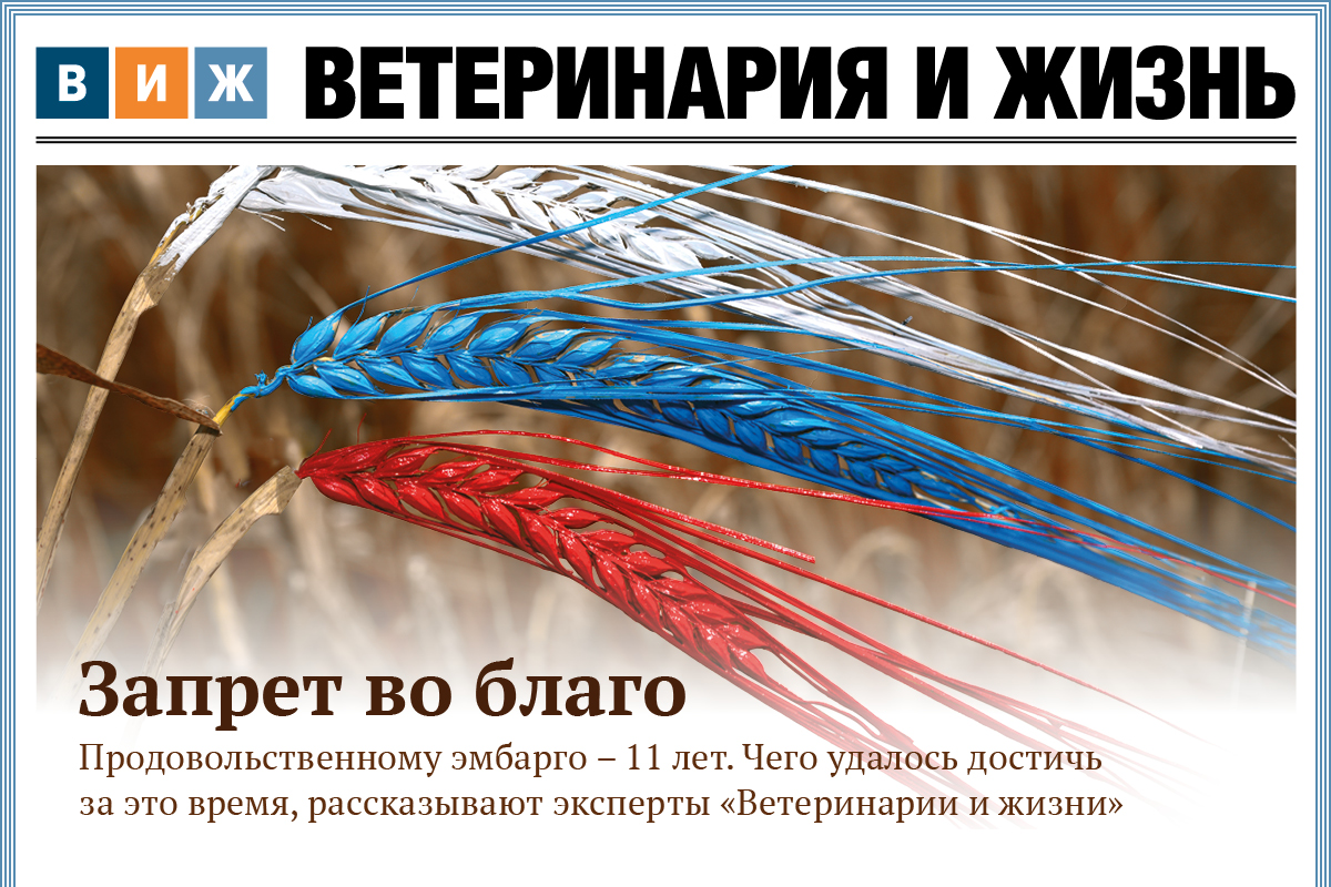 Новый выпуск «ВиЖ»: запрет во благо, дефицитный кадр и ярославские тоггенбурги