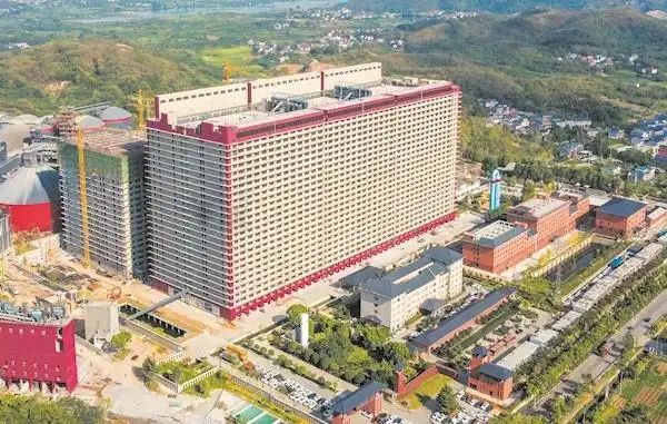 В Китае начали выращивать свиней в 26-этажных небоскребах