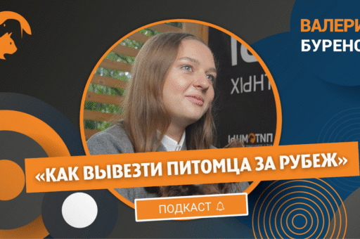 Эксперт назвала страны, куда сложнее всего попасть на отдых с питомцем