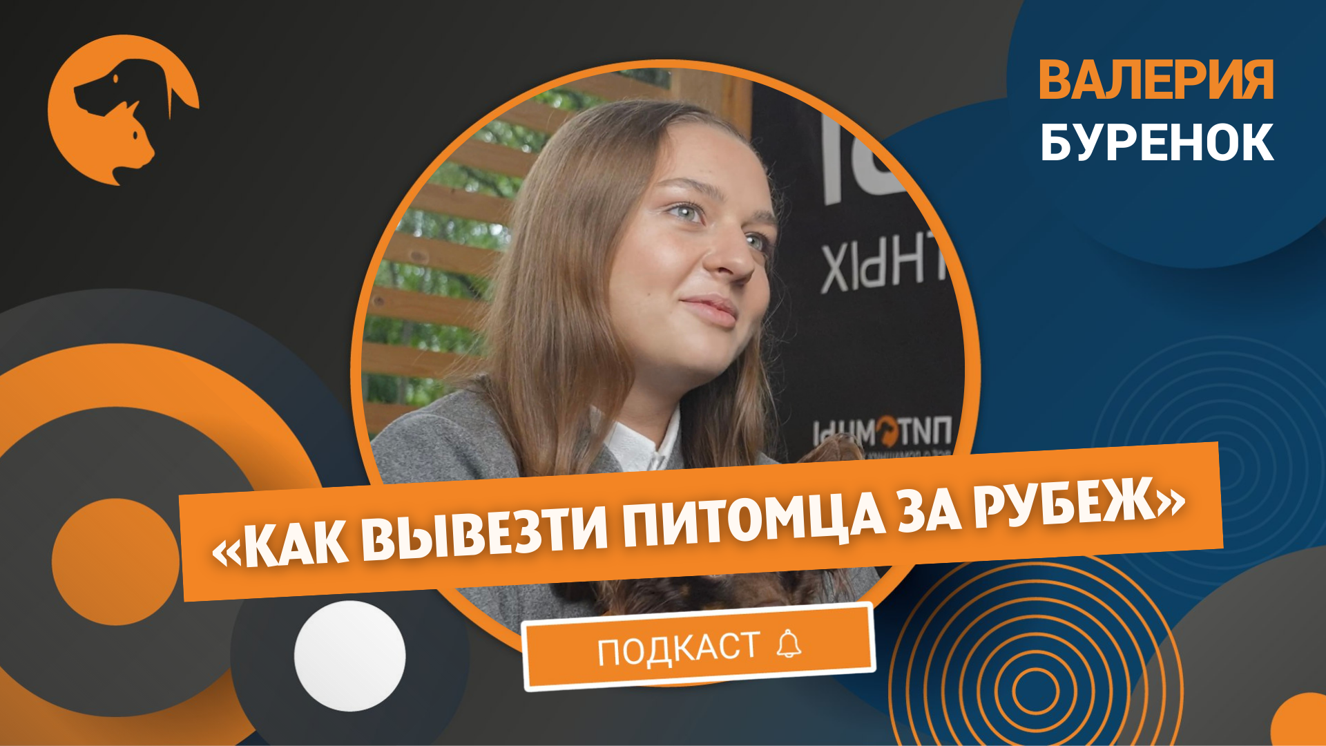 Эксперт назвала страны, куда сложнее всего попасть на отдых с питомцем