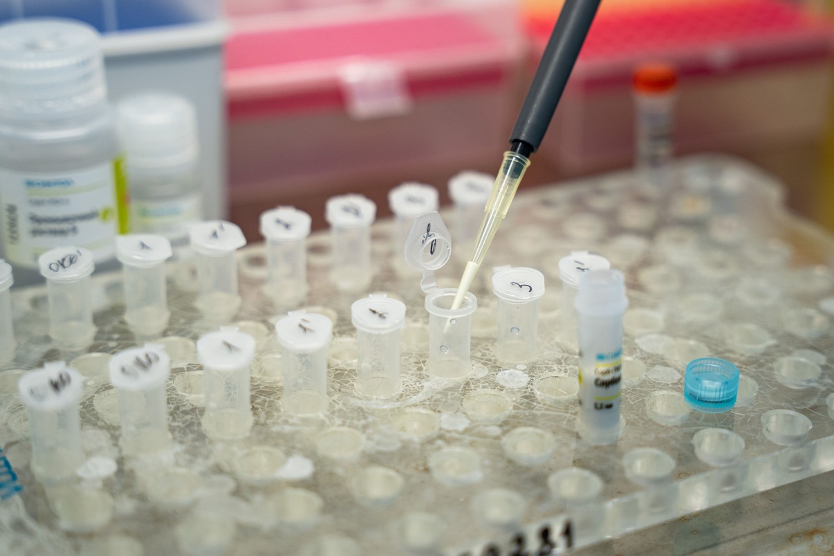 Европа представила руководство по раннему выявлению гриппа птиц среди людей