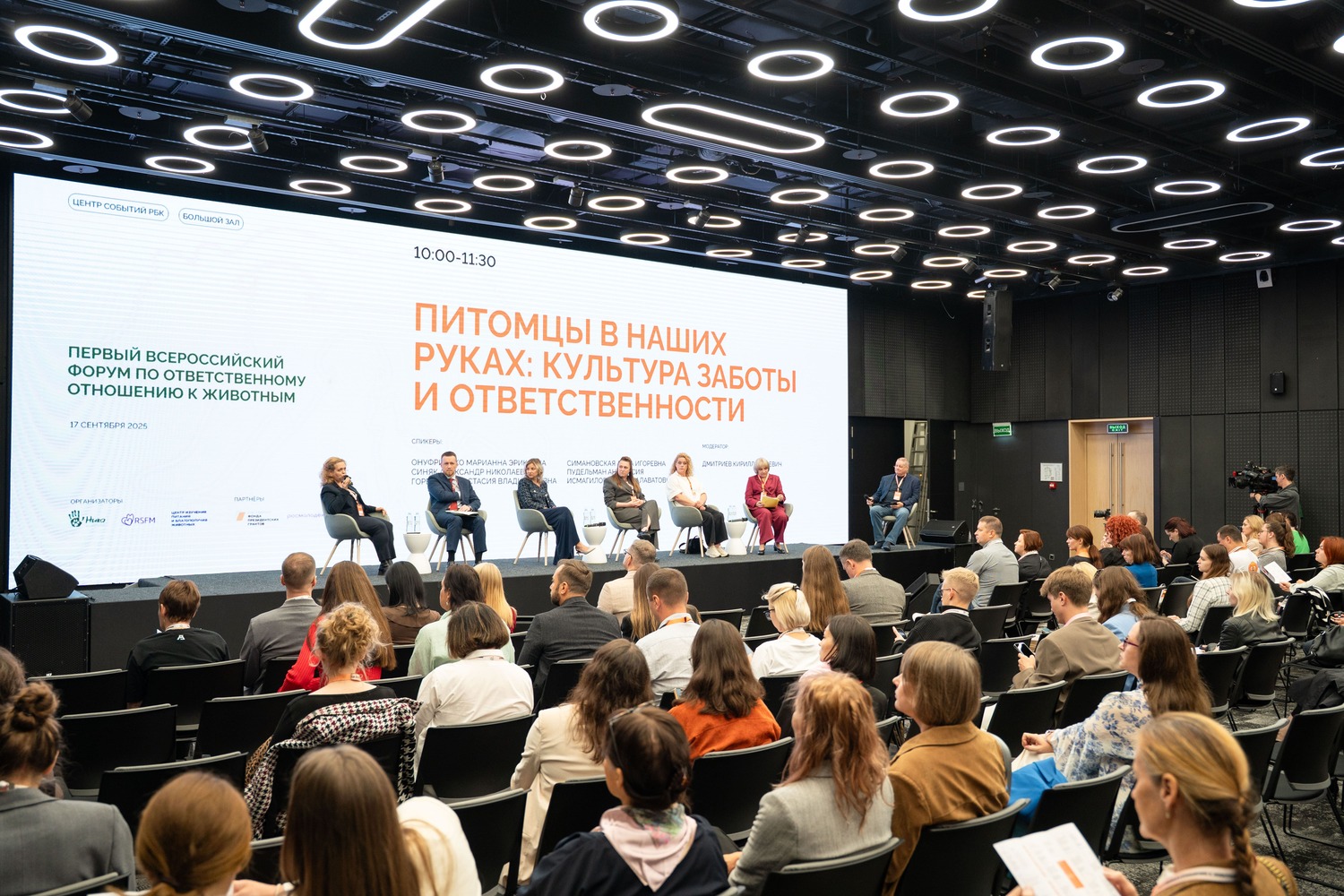 Учет всех кошек и собак должен стать первым шагом к реформе законодательства 