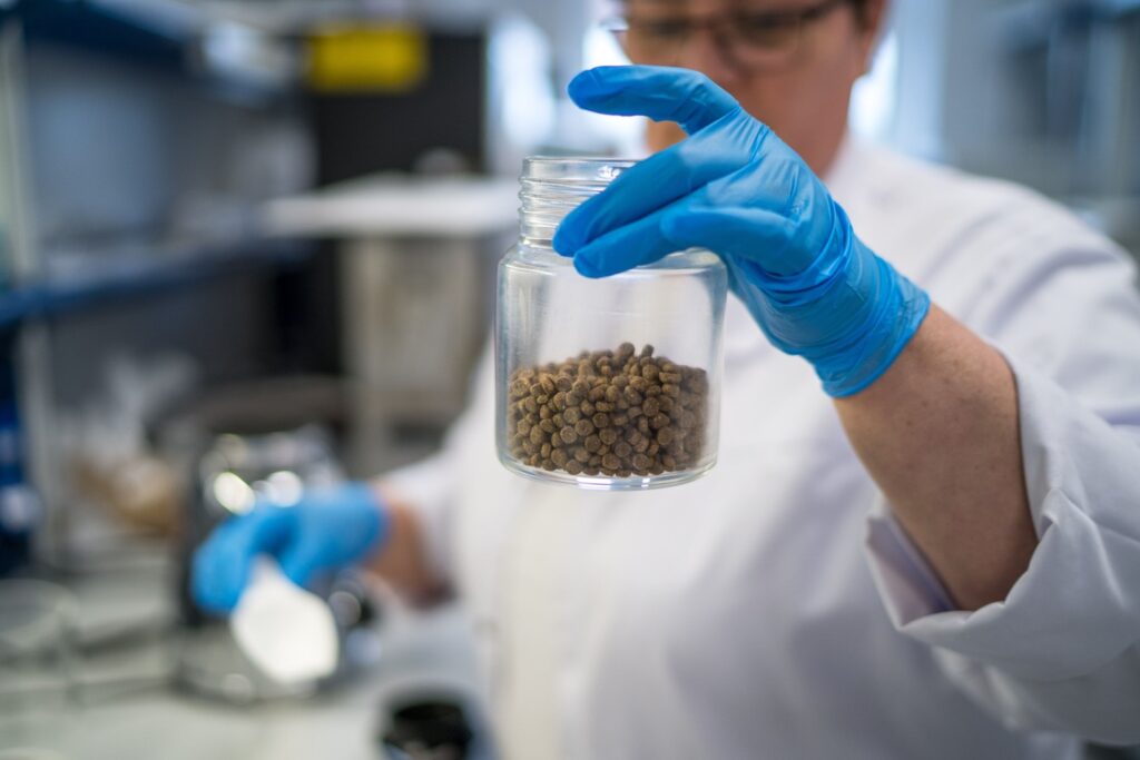 ВНИИЗЖ разработал методические указания по выявлению листерий в кормах