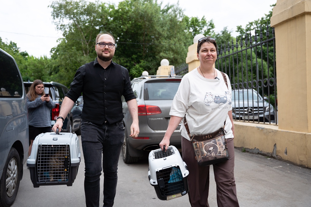 «Кошкин дом» спас более 6,6 тыс. животных в зоне СВО