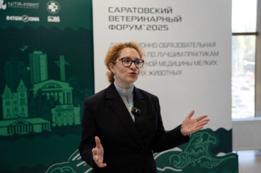 Онкология у питомцев: как предупредить болезнь до ее начала