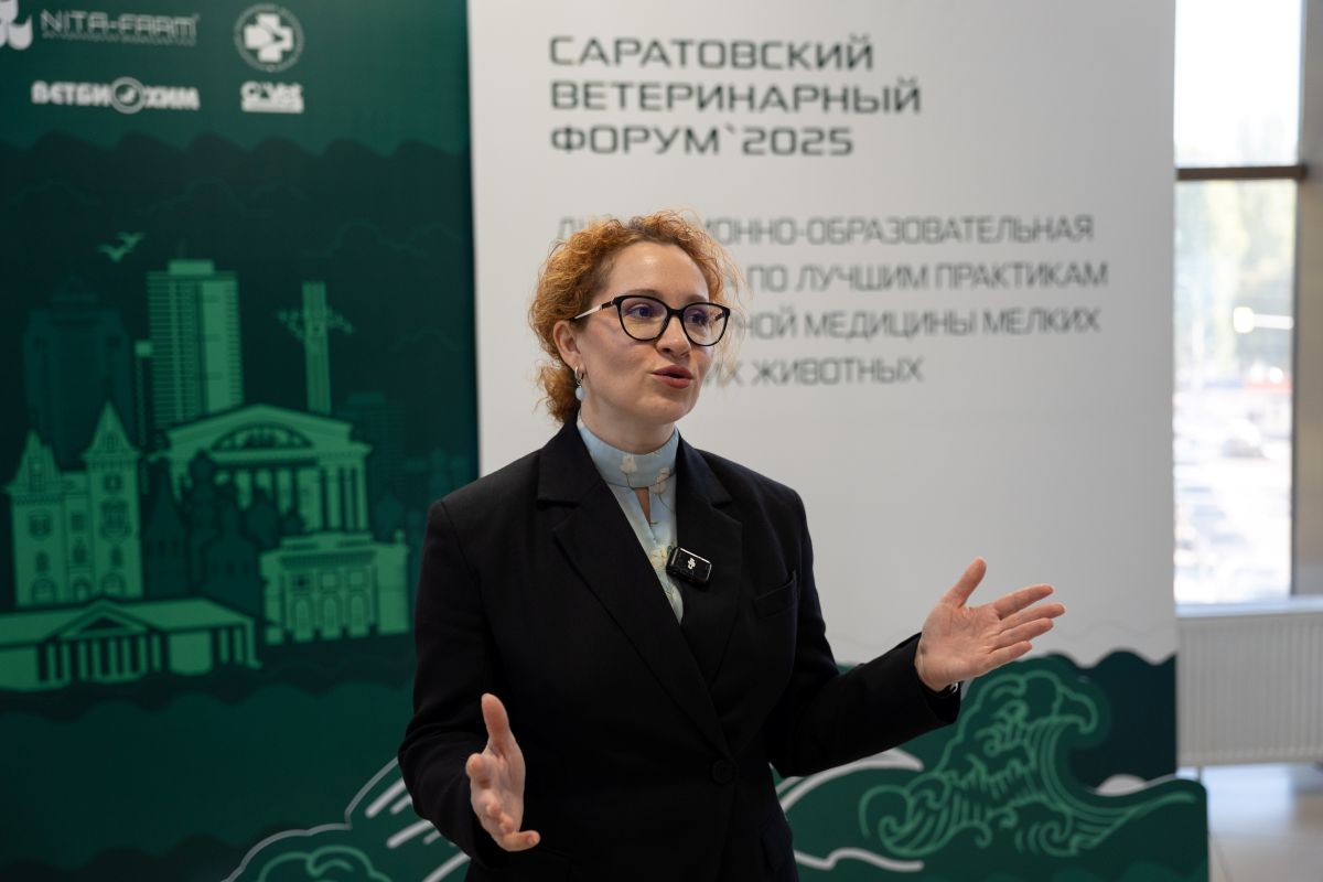 Онкология у питомцев: как предупредить болезнь до ее начала