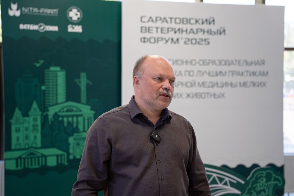 Когда начинать вакцинацию телят: рекомендации эксперта