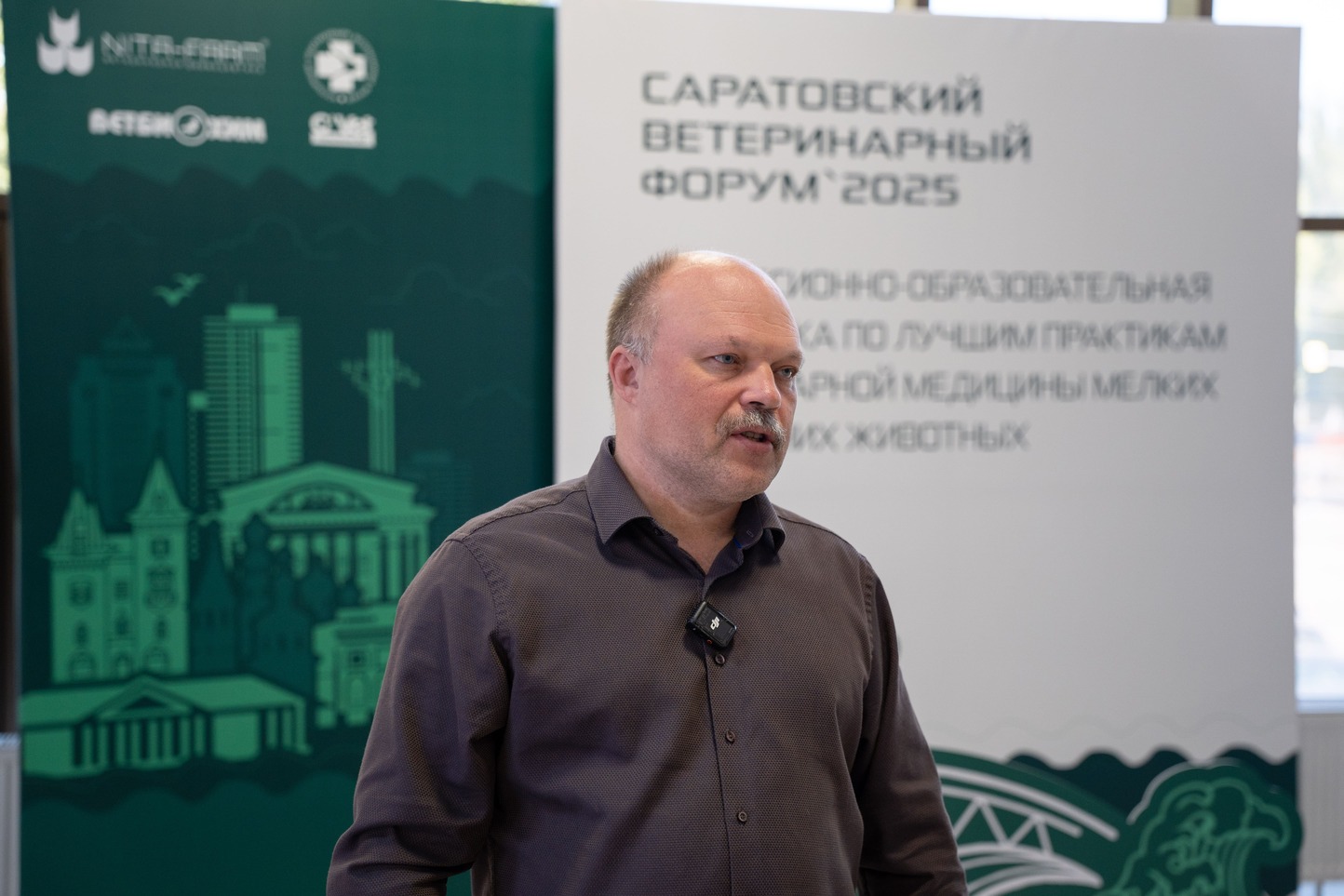 Когда начинать вакцинацию телят: рекомендации эксперта