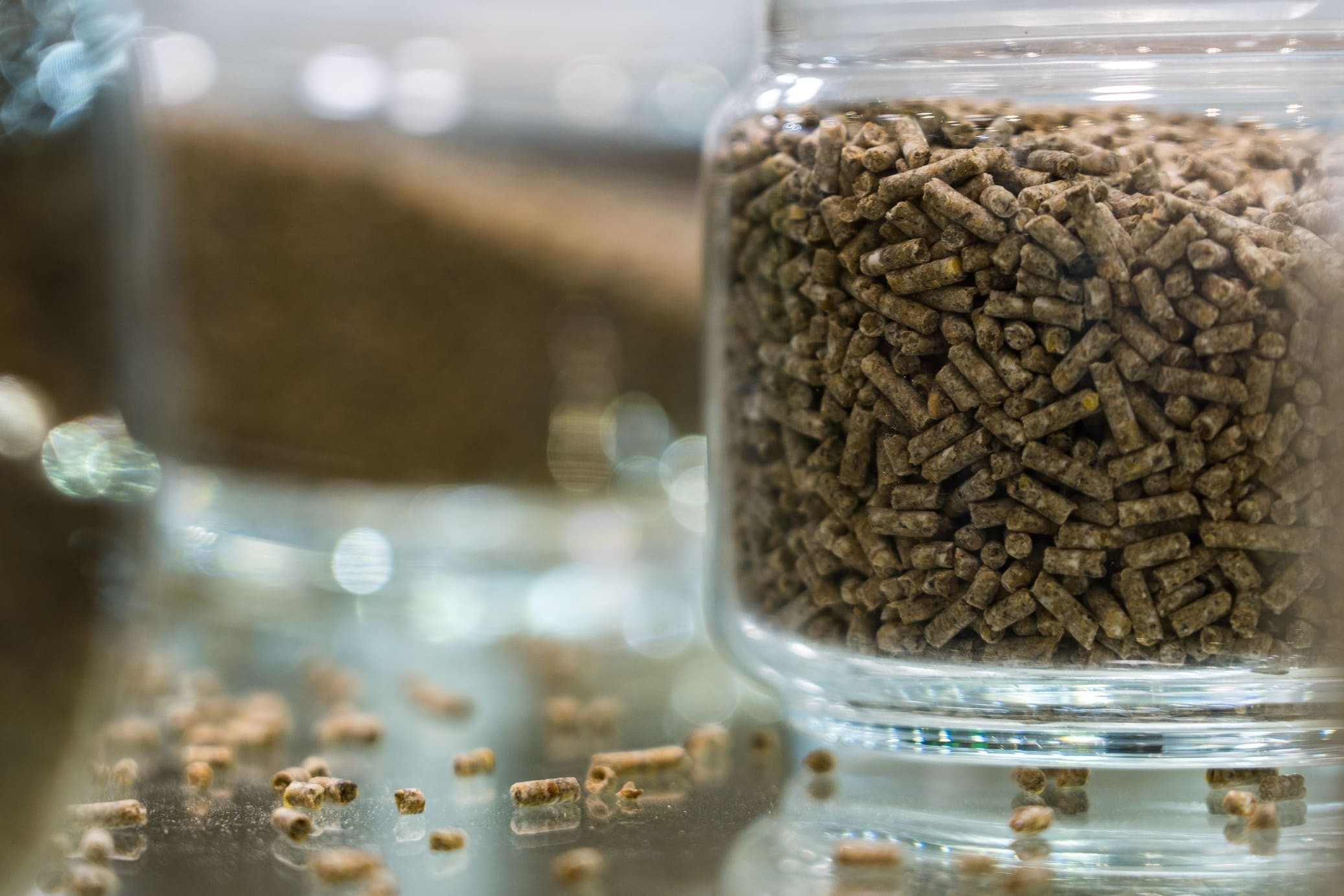 Производство отечественных кормов для питомцев в 2025 году выросло на 4,2%