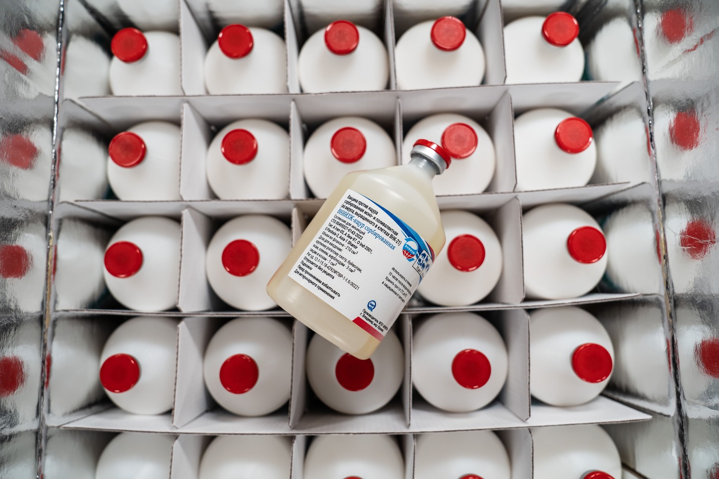 Марокко и Корея стали лидерами по закупкам российских вакцин