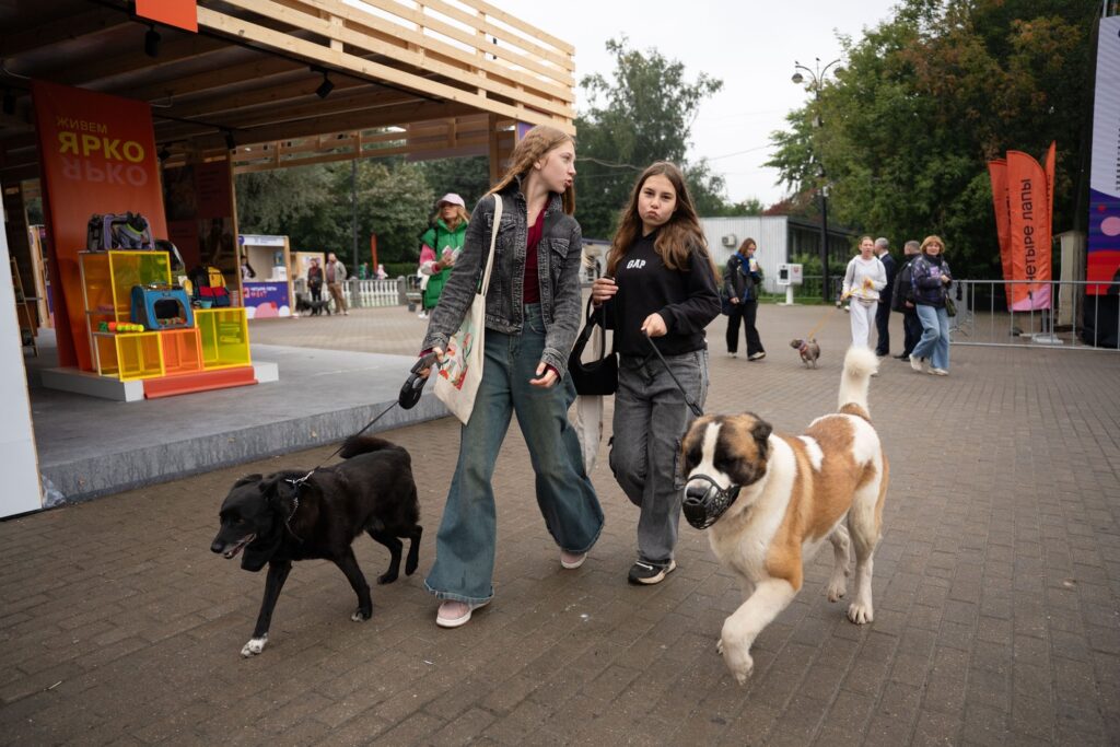 Как Россия готовится к внедрению стандартов pet-friendly