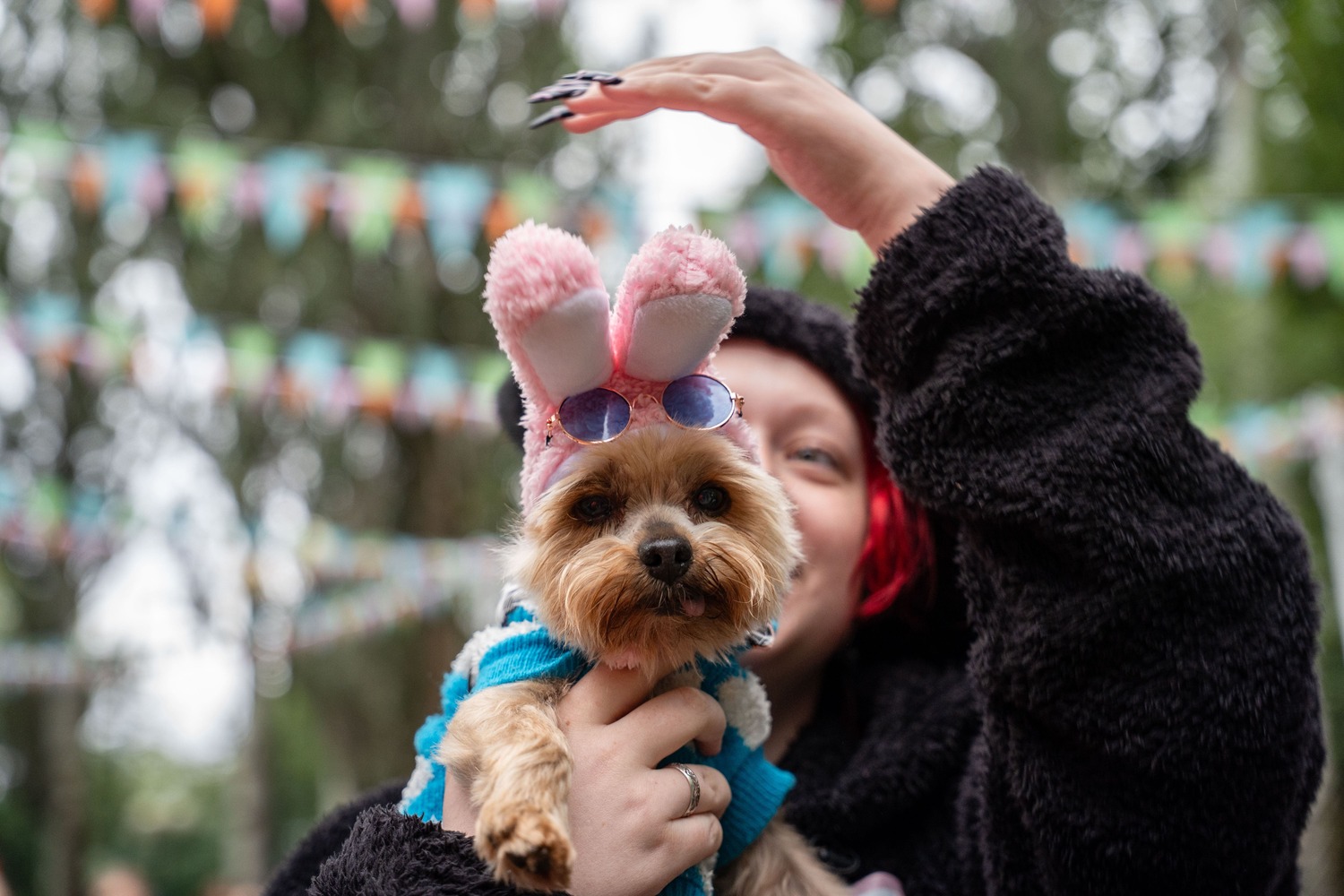 Тренды-2026: в России растет запрос на pet-friendly-услуги