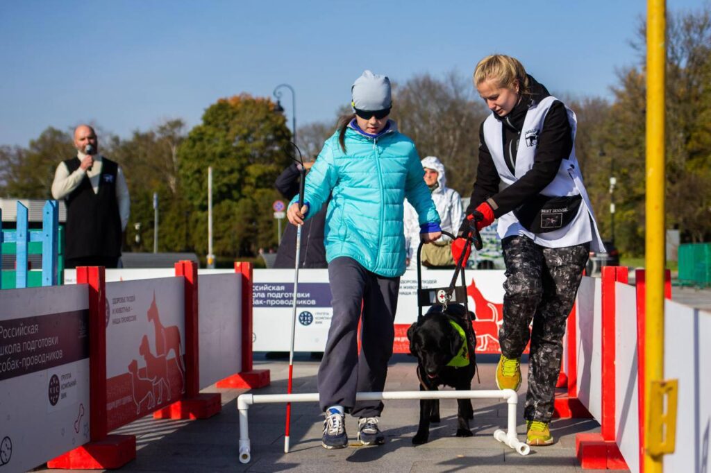 Четыре лапы и одно большое сердце: благотворительные проекты Группы компаний ВИК