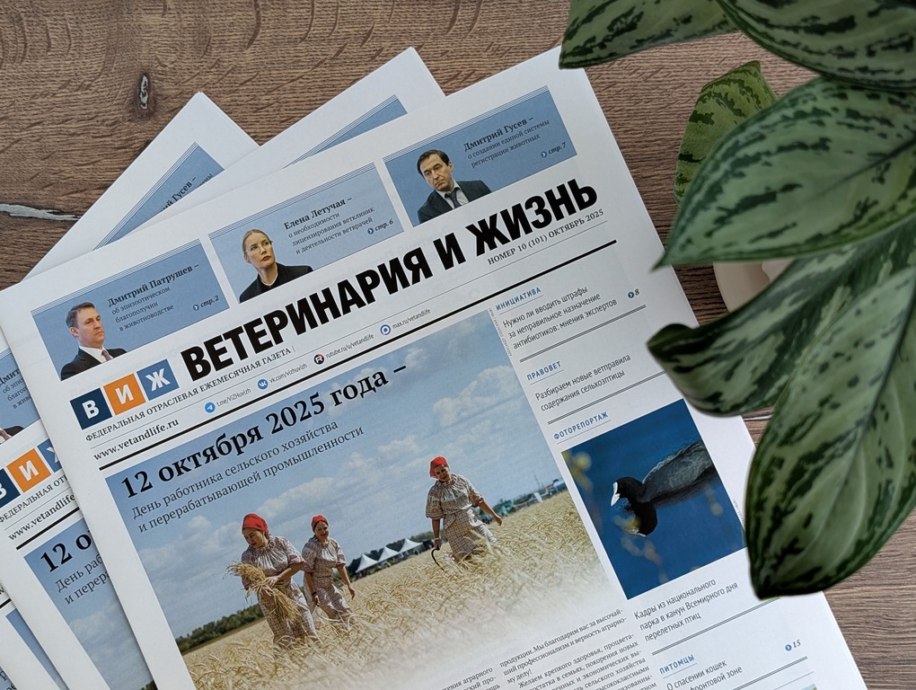Вышел новый выпуск газеты «Ветеринария и жизнь»: что в номере?