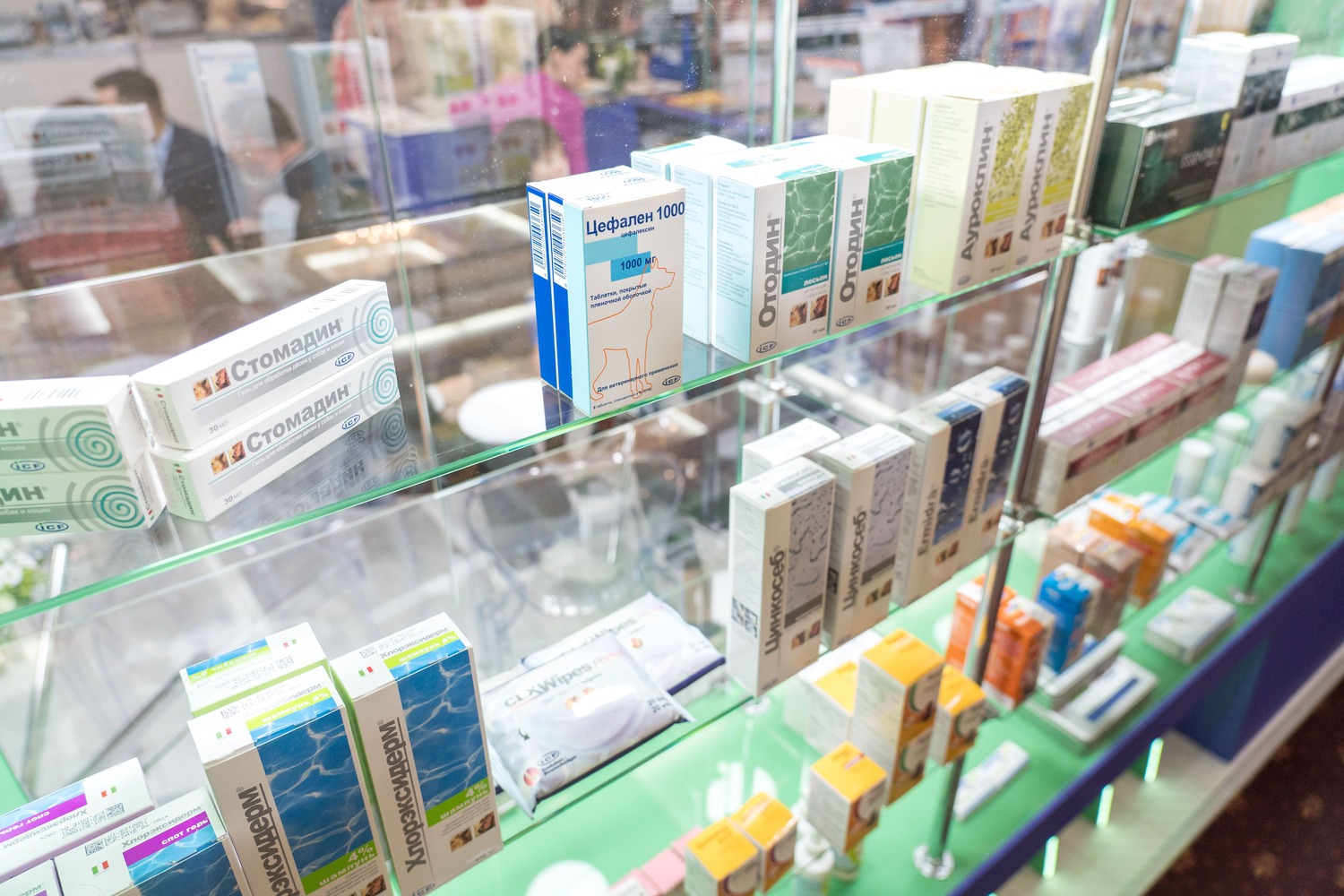 Эксперт назвал регионы — лидеры по продажам лекарств для животных