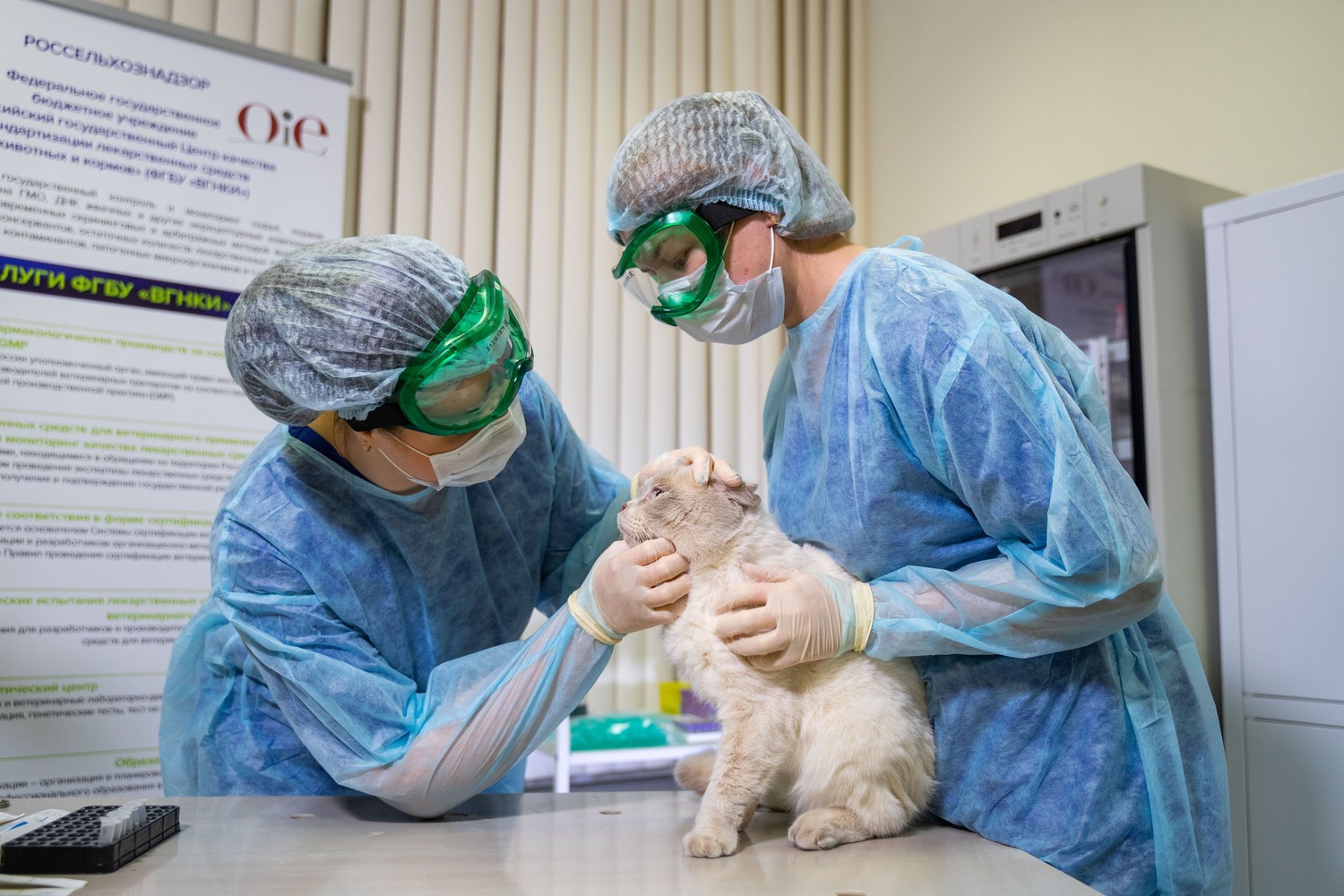 Центр компетенций зооветеринарной отрасли создан в странах БРИКС