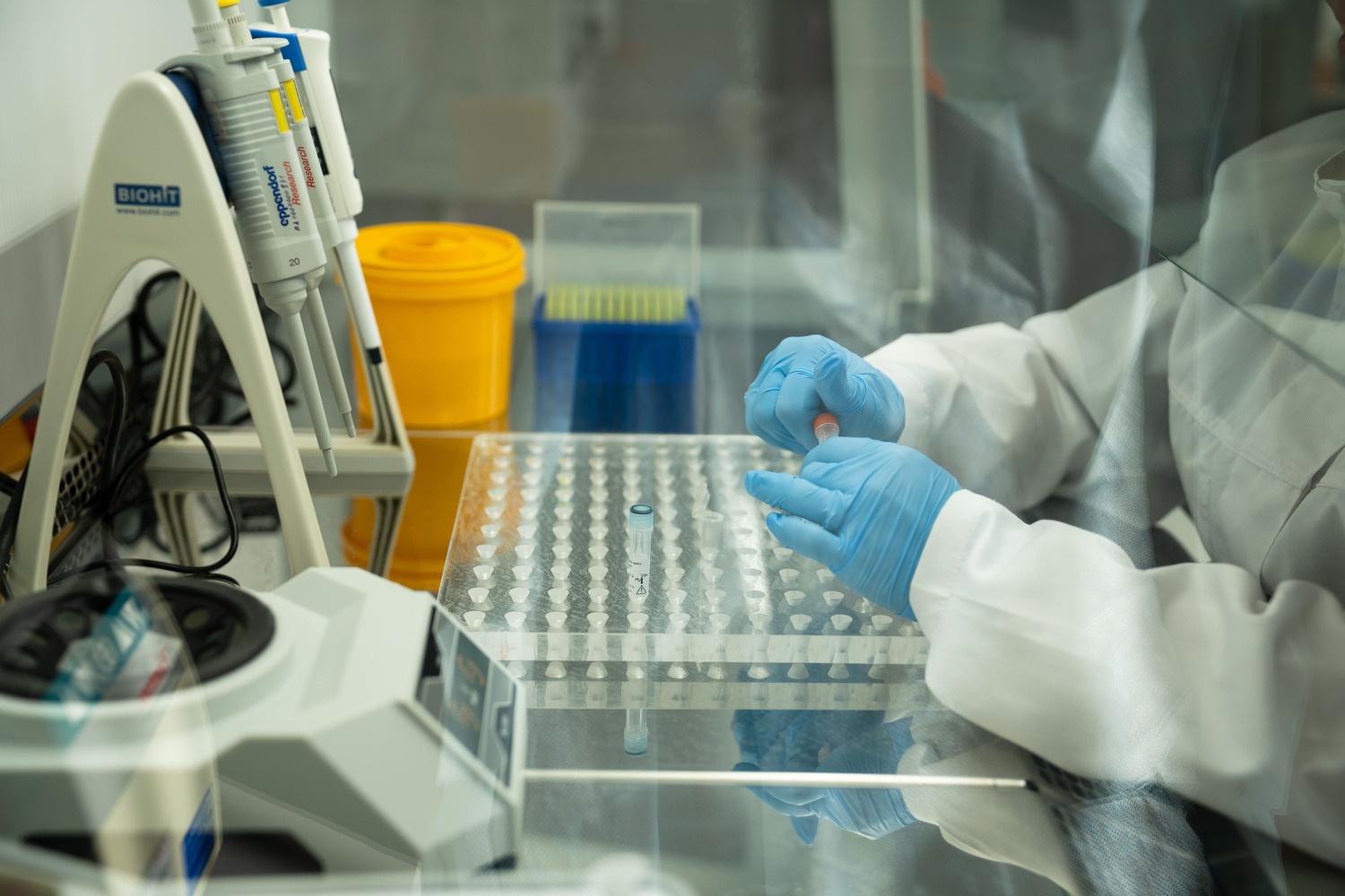 Ветеринары помогут в создании новых отечественных препаратов