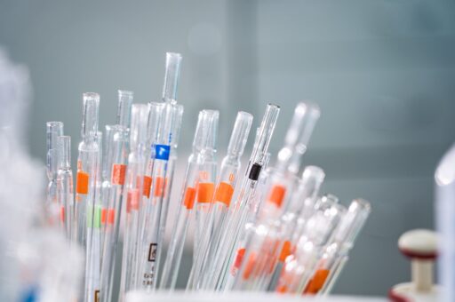Открытый банк с генетическим материалом редких видов животных создают в ОАЭ