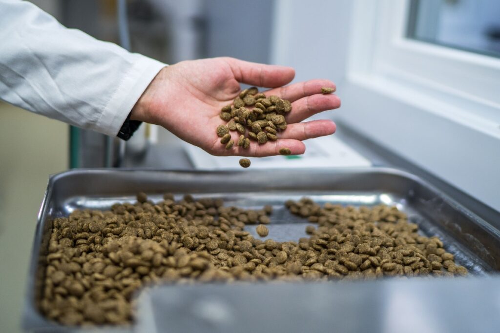 Партионный учет кормов для животных: возможен ли переход по примеру молочной отрасли