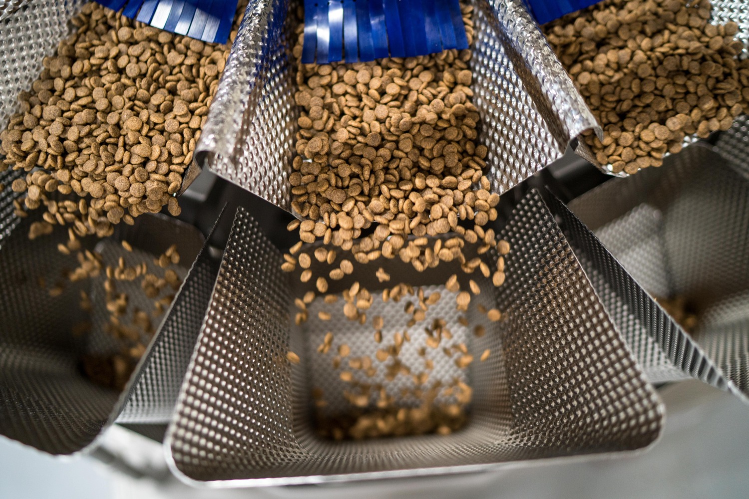 Выпуск кормов для питомцев в Подмосковье вырос на 3,6% 