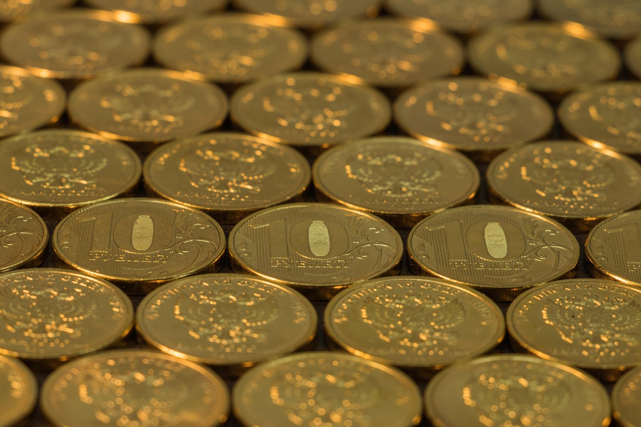 Главу фонда помощи животным на Сахалине осудили за присвоение 4 млн рублей