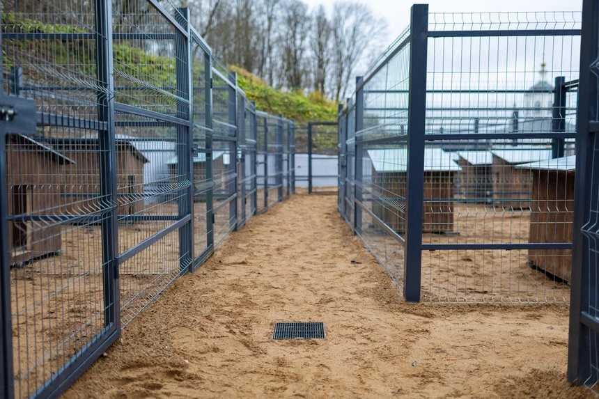 Первый пункт содержания безнадзорных животных с бешенством открыли в Смоленске 