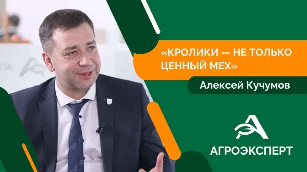 Смоленская область обеспечивает 60% производства крольчатины в России