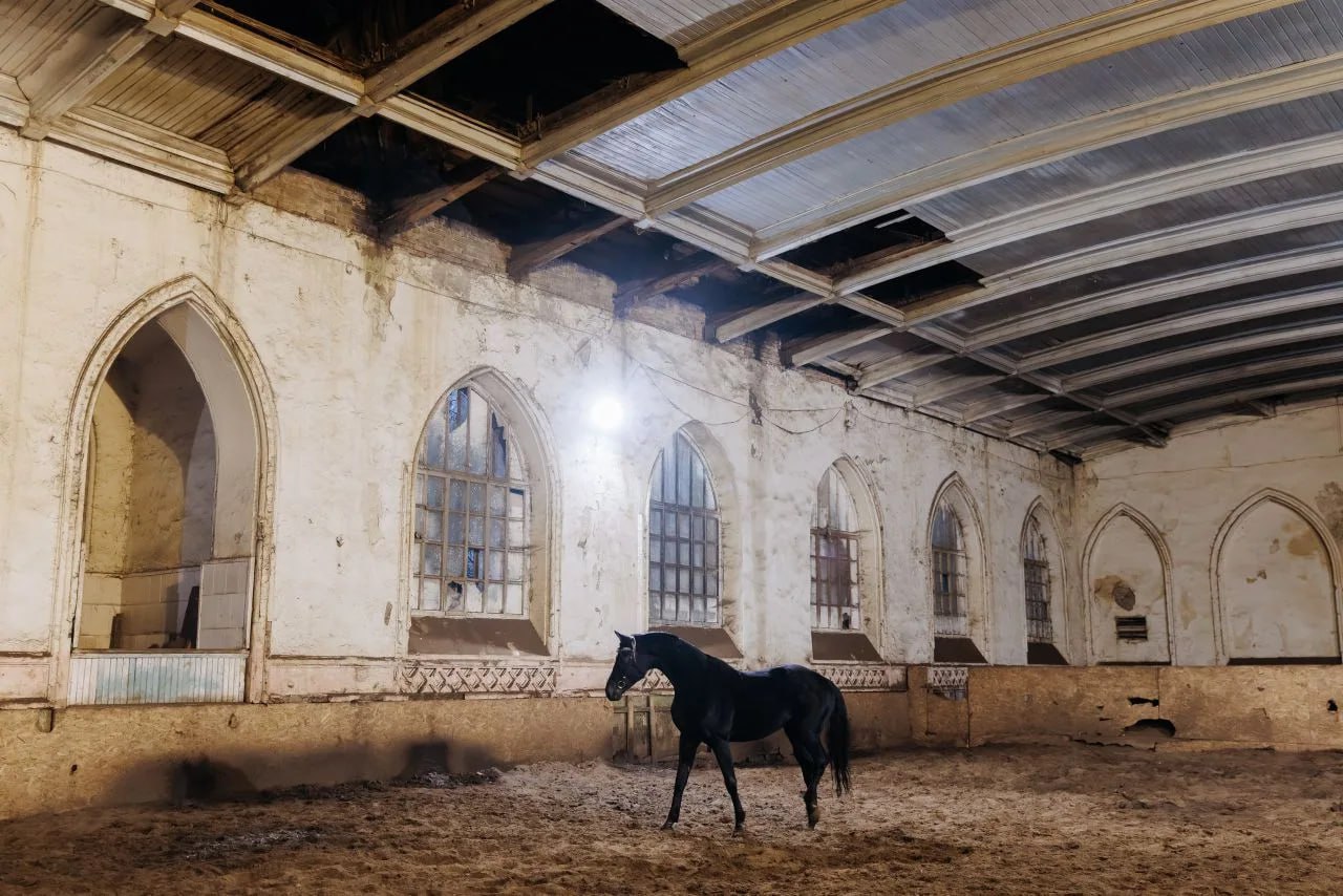 Старожиловский конный завод передают Рязанской области 