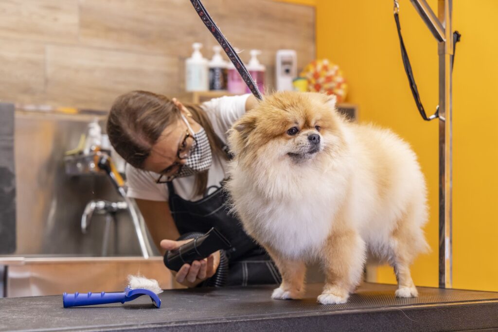 Чем грозит колтун для кожи и шерсти и как решить проблему вовремя