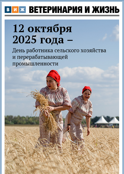 Номер 10(101) октябрь 2025