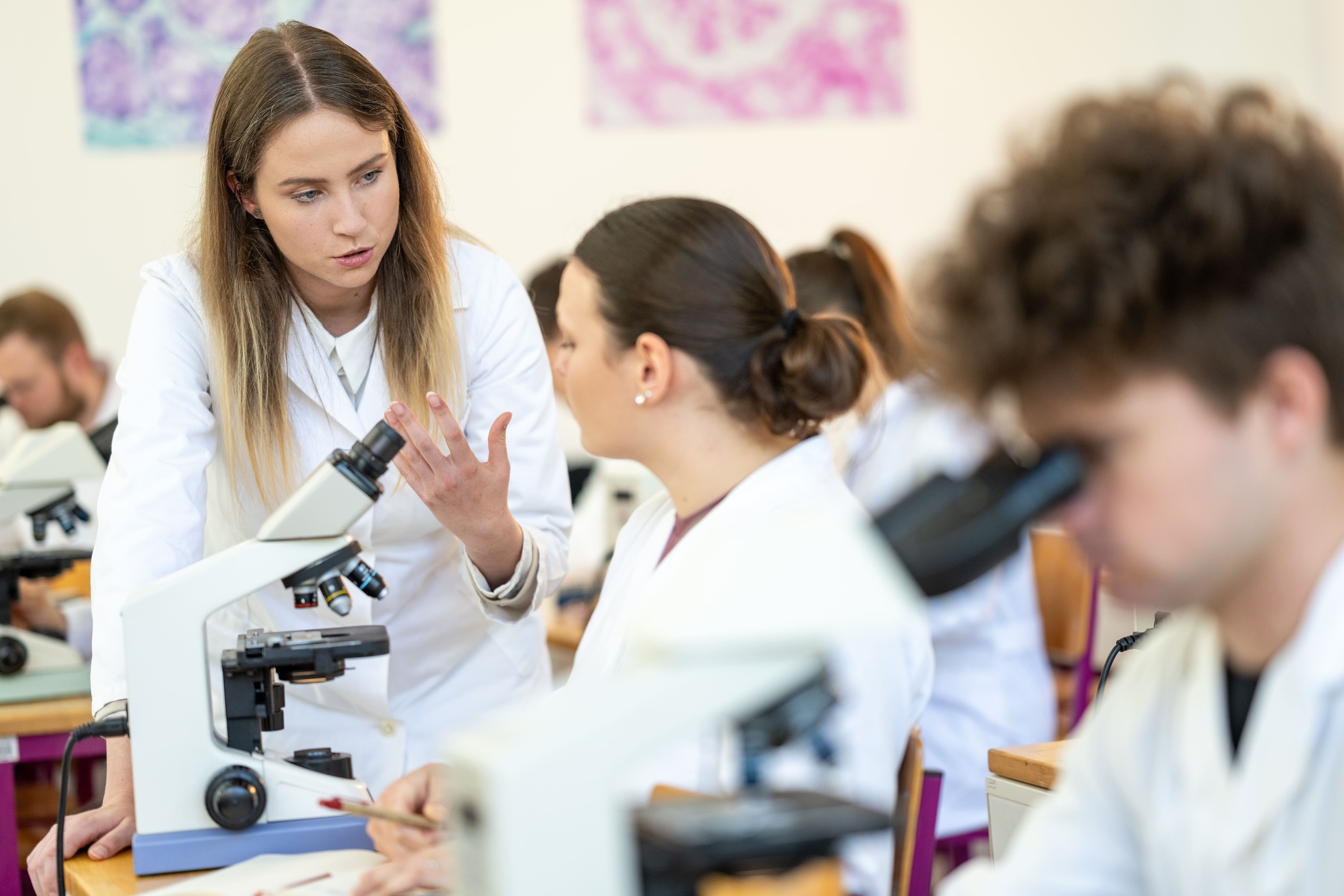 Выпускников ветеринарных вузов хотят обязать отрабатывать три года на предприятиях