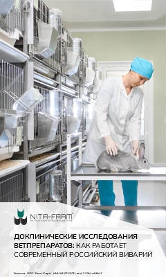 Нита (десктоп)